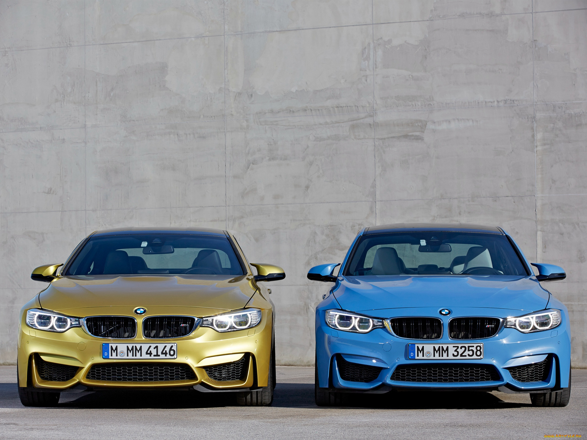 , bmw